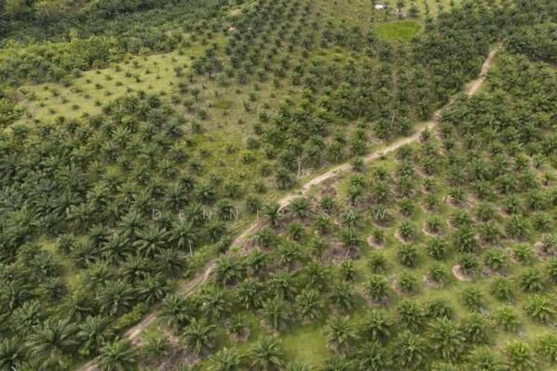 Residential Land for Sale in Dengkil (Selangor) - Dennis Saw - PropertyGuru.com.my