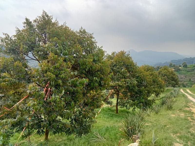 Agricultural Land for Sale in Kuala Kubu Bharu (Selangor) - Shiqin Saidin - Exterior - PropertyGuru.com.my