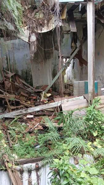 Shop for Sale in Melaka City (Melaka) - Elin Goh - Interior - PropertyGuru.com.my