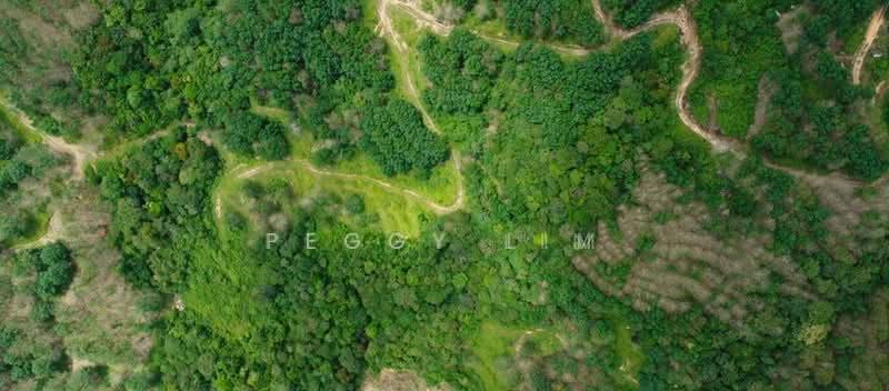 Agricultural Land for Sale in Kota Marudu (Sabah) - Peggy Lim - PropertyGuru.com.my
