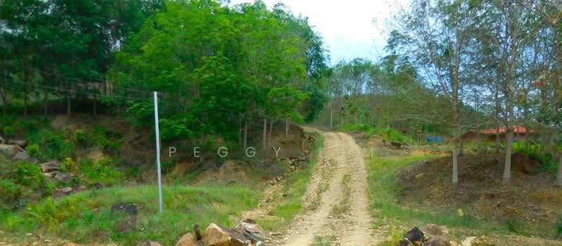 Agricultural Land for Sale in Kota Marudu (Sabah) - Peggy Lim - Exterior - PropertyGuru.com.my