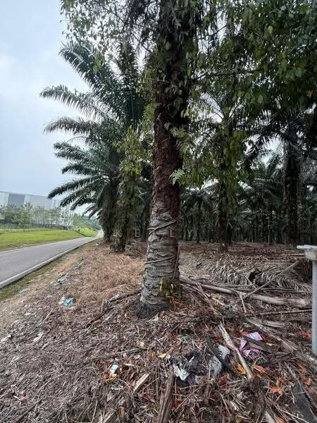 Tanah Pertanian untuk Dijual di Gelang Patah (Johor) - Kelly Wai - Exterior - PropertyGuru.com.my