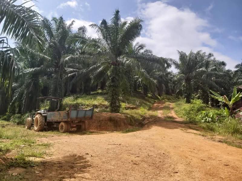 Agricultural Land for Sale in Kuala Pilah (Negeri Sembilan) - Kelly Wai - Exterior - PropertyGuru.com.my