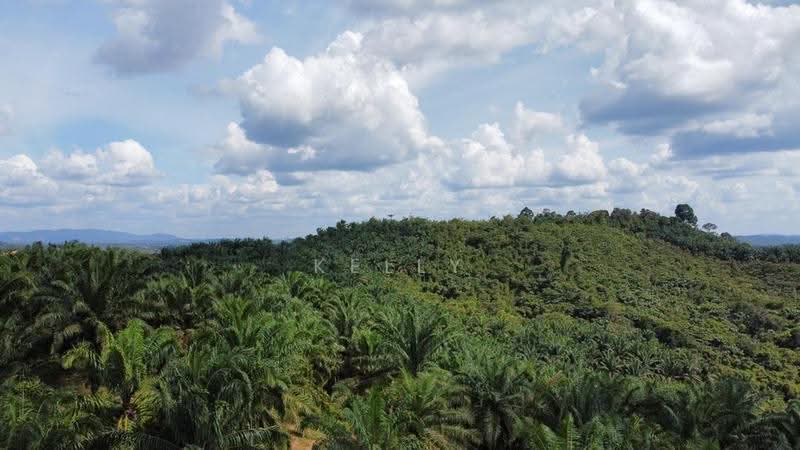 Agricultural Land for Sale in Kuala Pilah (Negeri Sembilan) - Kelly Wai - Exterior - PropertyGuru.com.my