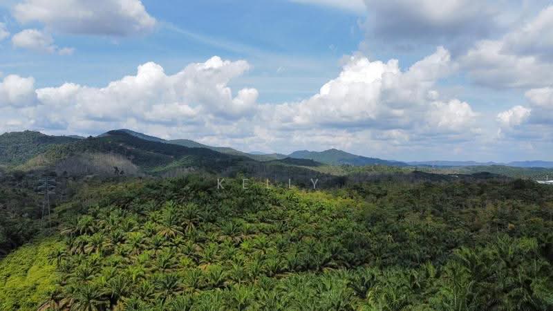 Agricultural Land for Sale in Kuala Pilah (Negeri Sembilan) - Kelly Wai - PropertyGuru.com.my