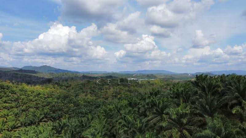 Agricultural Land for Sale in Kuala Pilah (Negeri Sembilan) - Kelly Wai - Exterior - PropertyGuru.com.my