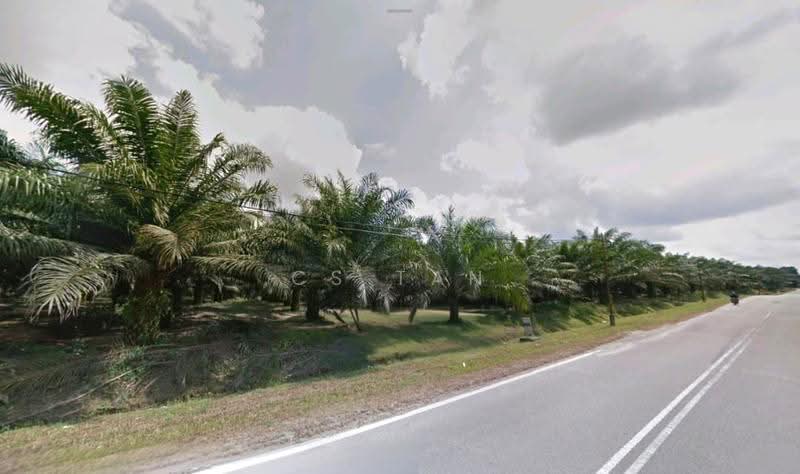 Tanah Perindustrian untuk Dijual di Kampung Baru Ban Foo (Ulu Tiram) - CS Tan - PropertyGuru.com.my