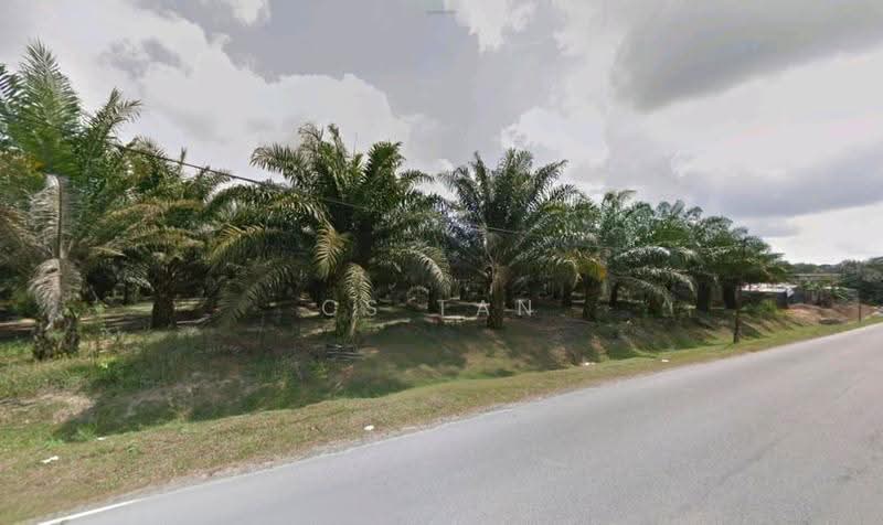 Tanah Perindustrian untuk Dijual di Kampung Baru Ban Foo (Ulu Tiram) - CS Tan - Exterior - PropertyGuru.com.my