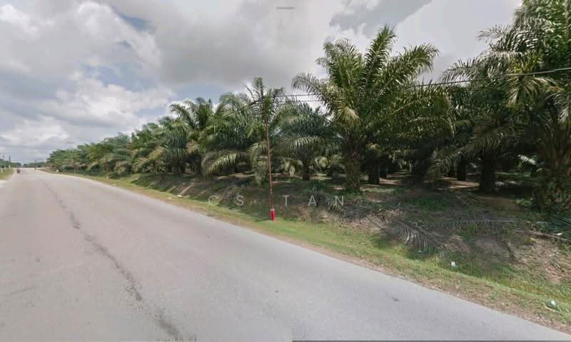 Tanah Perindustrian untuk Dijual di Kampung Baru Ban Foo (Ulu Tiram) - CS Tan - Exterior - PropertyGuru.com.my