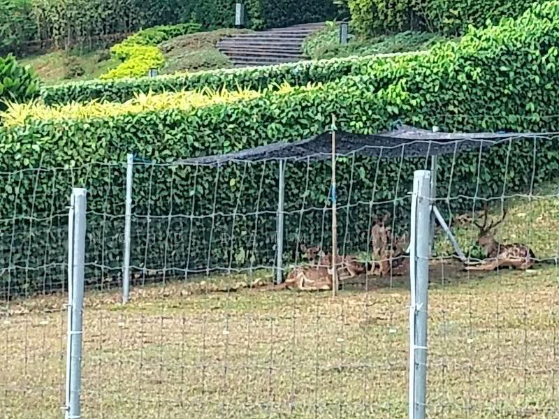 Residential Land for Sale in Pekan Semenyih (Semenyih) - Mohd Daim Jamil - Garden - PropertyGuru.com.my