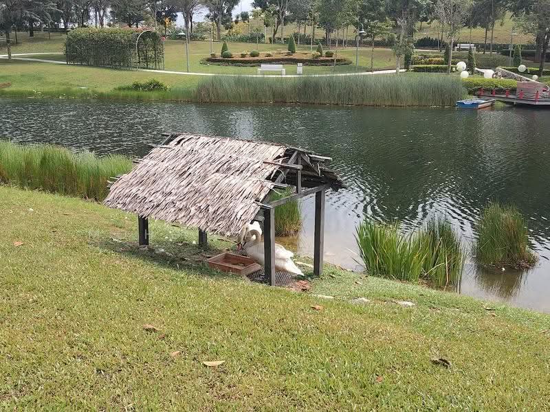 Residential Land for Sale in Pekan Semenyih (Semenyih) - Mohd Daim Jamil - Exterior - PropertyGuru.com.my