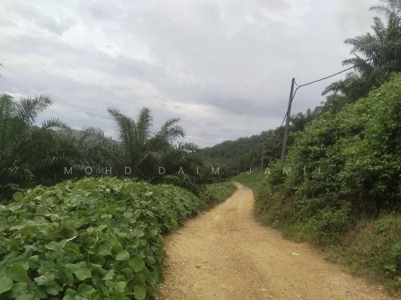 Tanah Pertanian untuk Dijual di Bandar Sungai Siput (Sungai Siput) - Mohd Daim Jamil - Exterior - PropertyGuru.com.my