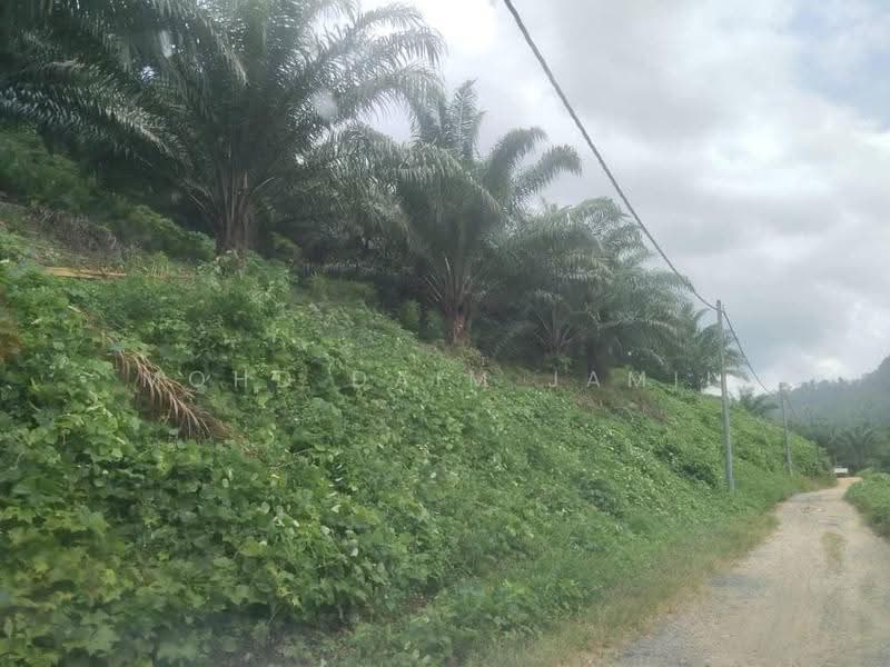 Tanah Pertanian untuk Dijual di Bandar Sungai Siput (Sungai Siput) - Mohd Daim Jamil - Exterior - PropertyGuru.com.my
