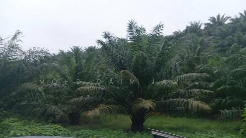 Tanah Pertanian untuk Dijual di Bandar Sungai Siput (Sungai Siput) - Mohd Daim Jamil - PropertyGuru.com.my