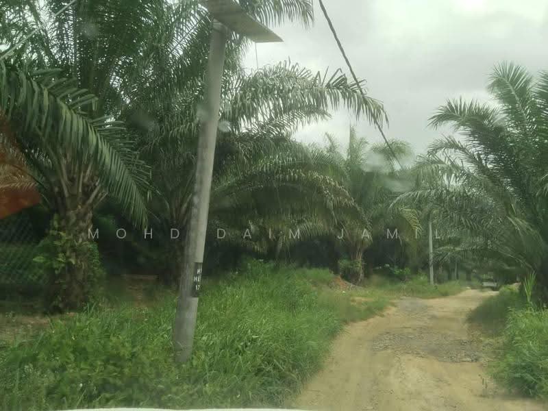 Tanah Pertanian untuk Dijual di Bandar Sungai Siput (Sungai Siput) - Mohd Daim Jamil - Exterior - PropertyGuru.com.my