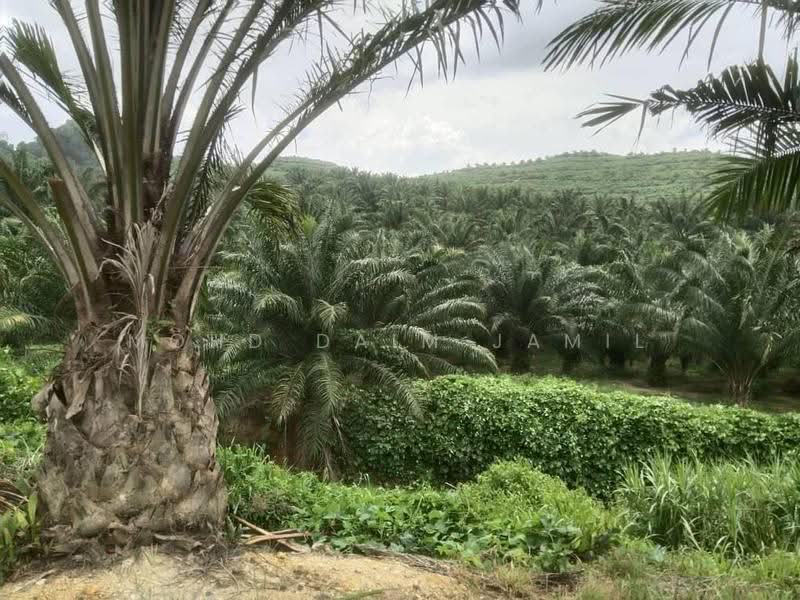Tanah Pertanian untuk Dijual di Bandar Sungai Siput (Sungai Siput) - Mohd Daim Jamil - Exterior - PropertyGuru.com.my
