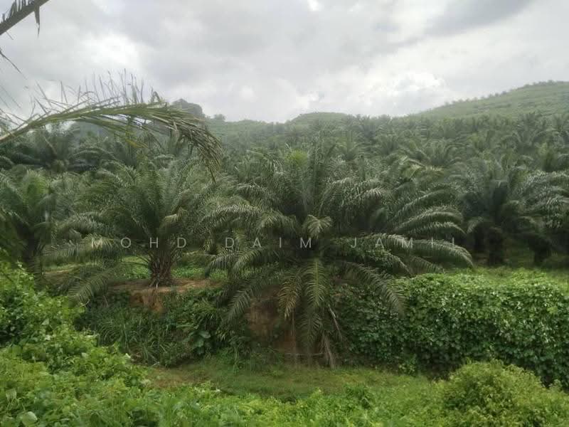 Tanah Pertanian untuk Dijual di Bandar Sungai Siput (Sungai Siput) - Mohd Daim Jamil - Exterior - PropertyGuru.com.my