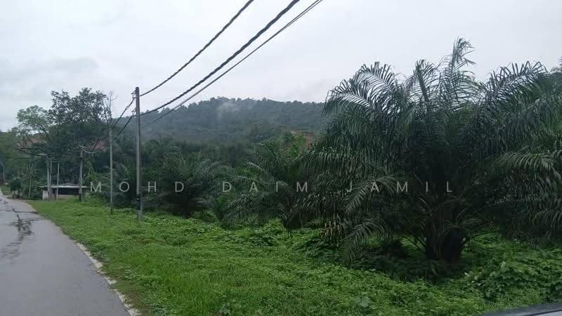 Tanah Pertanian untuk Dijual di Bandar Sungai Siput (Sungai Siput) - Mohd Daim Jamil - Exterior - PropertyGuru.com.my