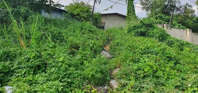 Agricultural Land for Sale in Kampung Baru Subang (Sungai Buloh) - Kew . - PropertyGuru.com.my