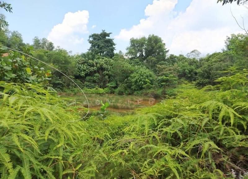 Tanah Pertanian untuk Dijual di Perdana College Heights (Mantin) - Tracy Leong - Garden - PropertyGuru.com.my