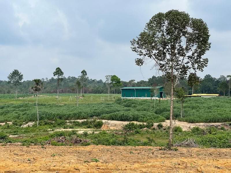 Agricultural Land for Rent in Jasin (Melaka) - Mahenthiran . - Exterior - PropertyGuru.com.my