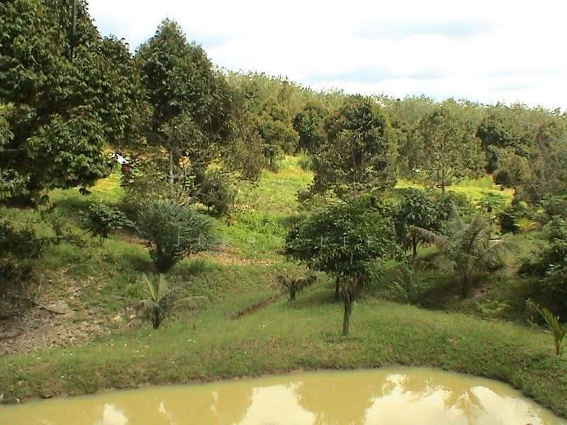 Tanah Pertanian untuk Dijual di Bentong (Pahang) - Jerry Lee - PropertyGuru.com.my