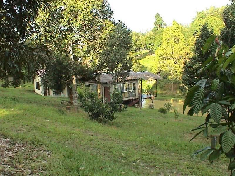 Tanah Pertanian untuk Dijual di Bentong (Pahang) - Jerry Lee - PropertyGuru.com.my
