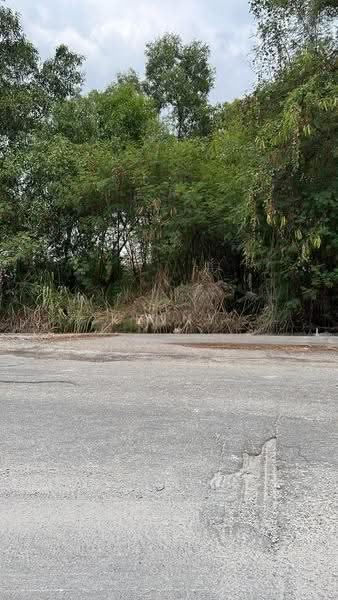 Industrial Land for Sale in Kapar (Selangor) - Kenny Kuan - Exterior - PropertyGuru.com.my