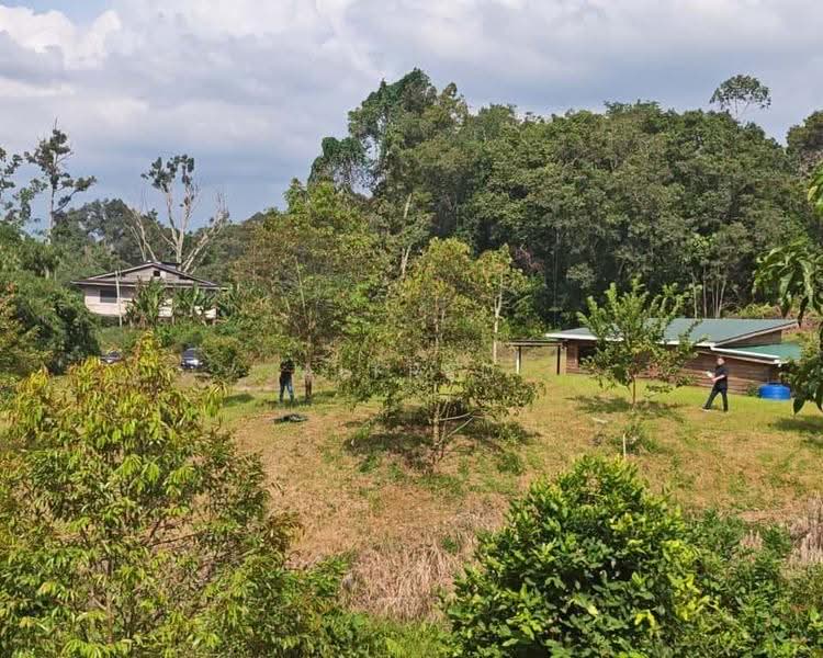 Agricultural Land for Sale in Batu Kawa (Kuching) - Alfred Chua - Exterior - PropertyGuru.com.my