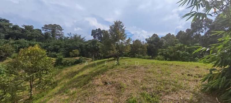 Agricultural Land for Sale in Batu Kawa (Kuching) - Alfred Chua - Exterior - PropertyGuru.com.my