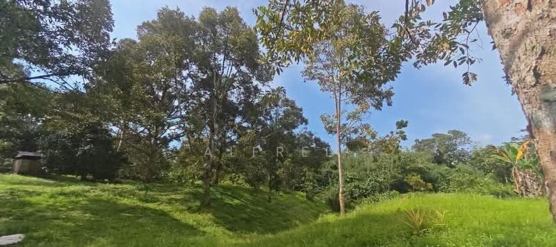 Agricultural Land for Sale in Batu Kawa (Kuching) - Alfred Chua - Exterior - PropertyGuru.com.my