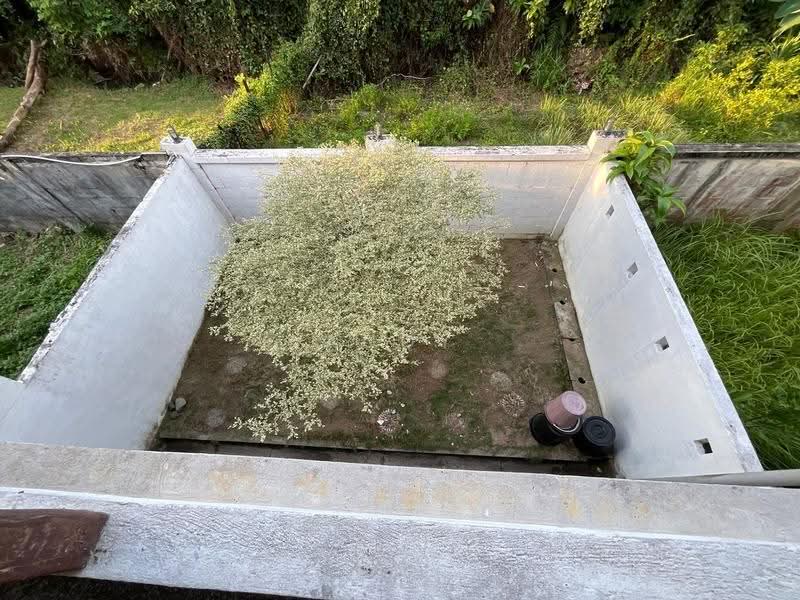 Rumah Teres 2-Tingkat untuk Dijual di Rawang (Selangor) - Andy Yap - Garden - PropertyGuru.com.my