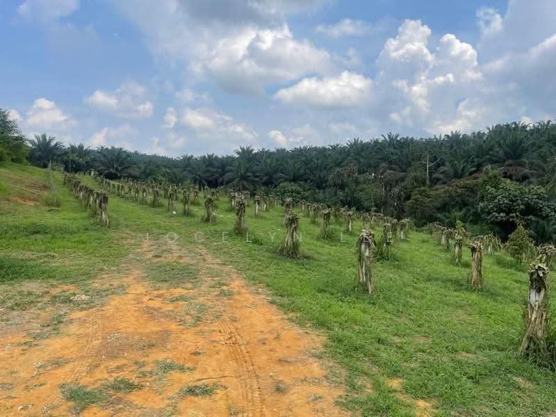 Agricultural Land for Sale in Semangar (Kota Tinggi) - Jocelyn Lee - PropertyGuru.com.my