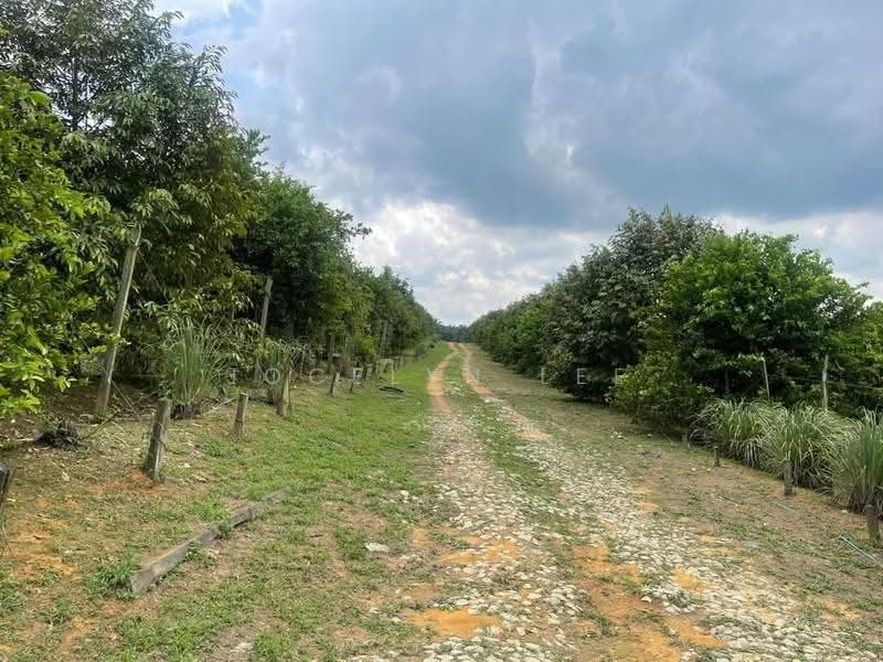 Agricultural Land for Sale in Semangar (Kota Tinggi) - Jocelyn Lee - PropertyGuru.com.my