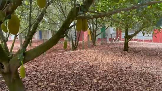 Agricultural Land for Sale in Pusing (Perak) - Amanda Fan - PropertyGuru.com.my