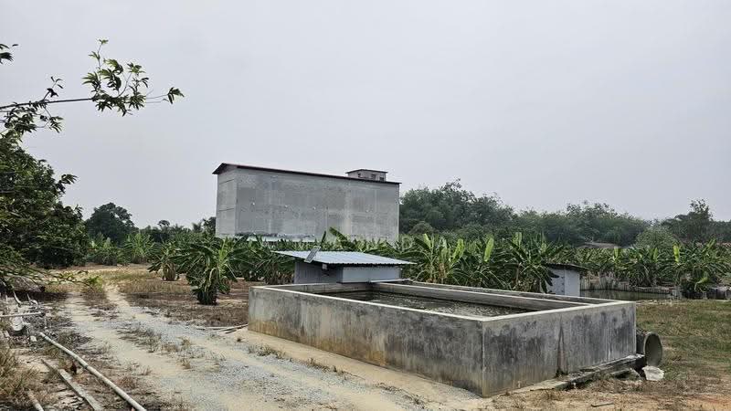 Agricultural Land for Sale in Pusing (Perak) - Amanda Fan - Exterior - PropertyGuru.com.my