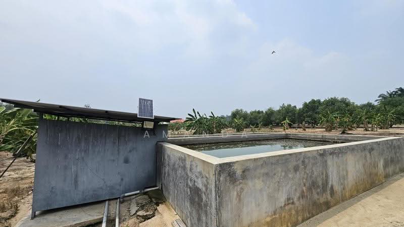 Agricultural Land for Sale in Pusing (Perak) - Amanda Fan - Exterior - PropertyGuru.com.my