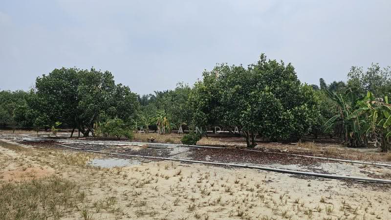 Agricultural Land for Sale in Pusing (Perak) - Amanda Fan - Garden - PropertyGuru.com.my