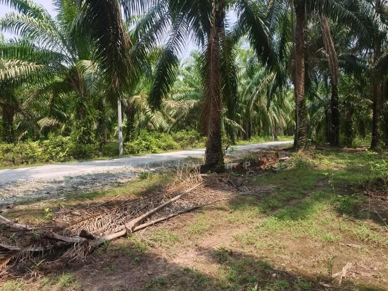 Tanah Pertanian untuk Dijual di Port Dickson (Negeri Sembilan) - Halim HP - Exterior - PropertyGuru.com.my