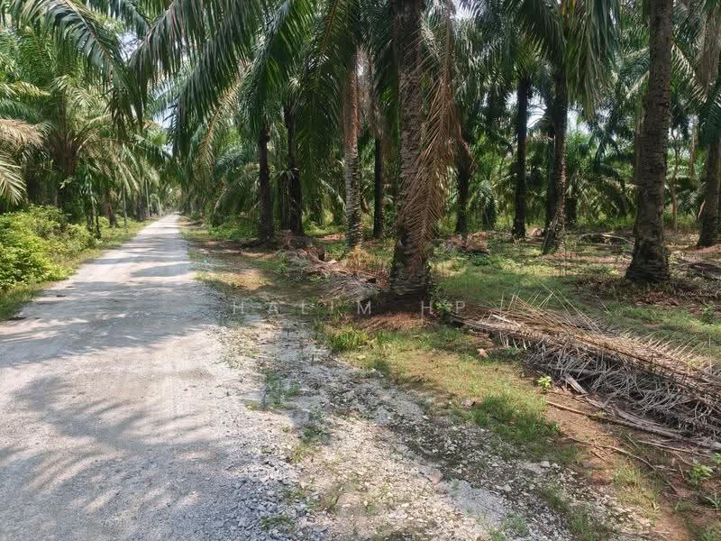 Tanah Pertanian untuk Dijual di Port Dickson (Negeri Sembilan) - Halim HP - PropertyGuru.com.my