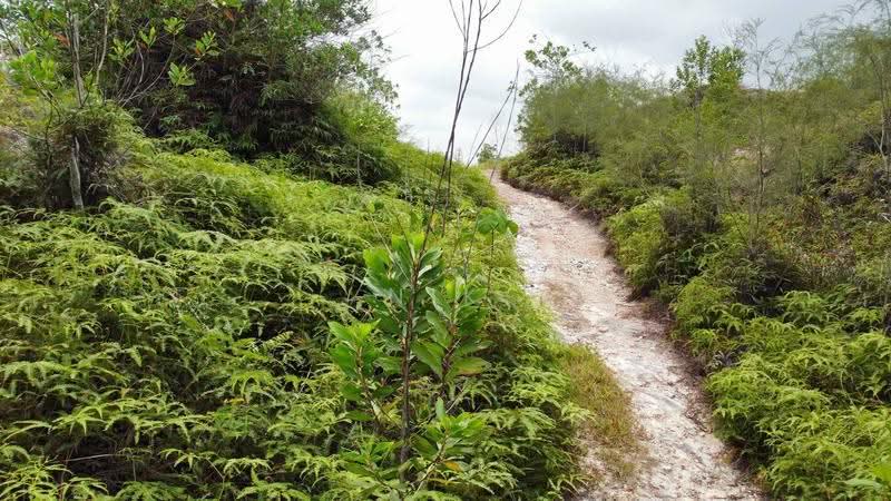 Residential Land for Sale in Dengkil (Selangor) - NIK AZWAN - Exterior - PropertyGuru.com.my