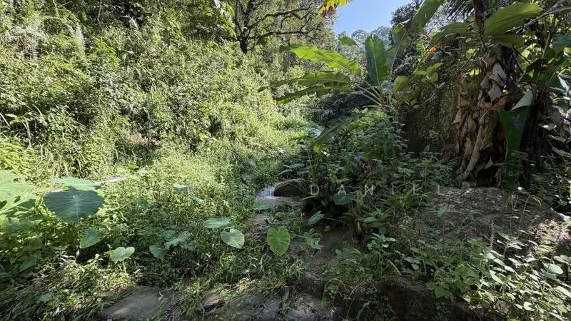 Tanah Pertanian untuk Dijual di Hulu Langat (Selangor) - Ashraff Daniel - Garden - PropertyGuru.com.my
