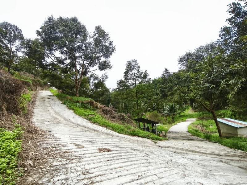 Agricultural Land for Sale in Rasa (Selangor) - Masnizah Arifin - Exterior - PropertyGuru.com.my