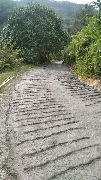 Agricultural Land for Sale in Rasa (Selangor) - Masnizah Arifin - PropertyGuru.com.my