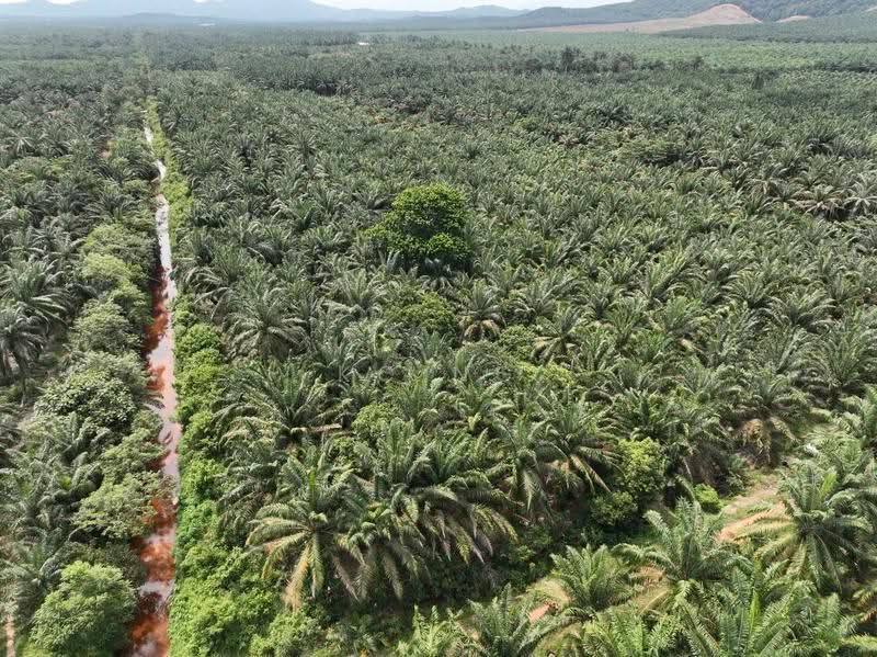 Tanah Pertanian untuk Dijual di Sg Kelambu (Tanjong Duabelas) - KC Ng - PropertyGuru.com.my
