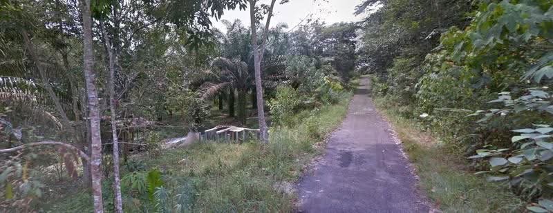 Agricultural Land for Sale in Johor Bahru (Johor) - Jun Song - Exterior - PropertyGuru.com.my