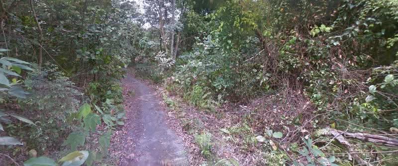 Agricultural Land for Sale in Johor Bahru (Johor) - Jun Song - Exterior - PropertyGuru.com.my