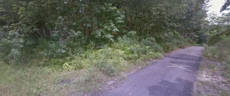 Agricultural Land for Sale in Johor Bahru (Johor) - Jun Song - Exterior - PropertyGuru.com.my
