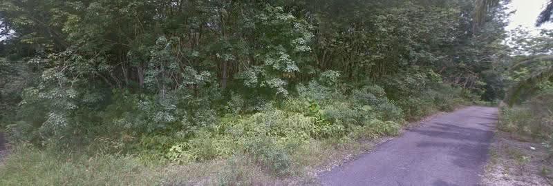 Agricultural Land for Sale in Johor Bahru (Johor) - Jun Song - Exterior - PropertyGuru.com.my