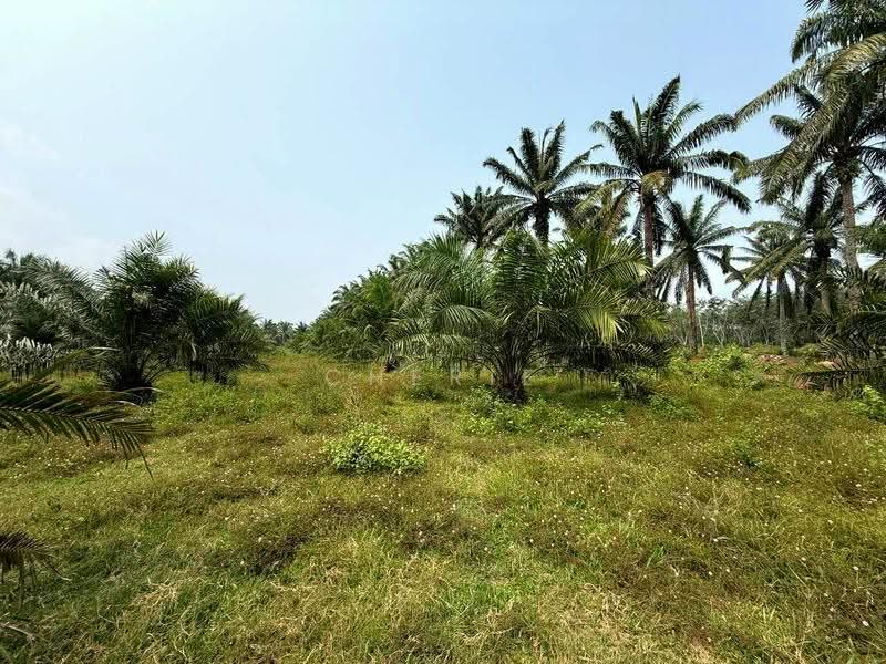 Agricultural Land for Sale in Sungai Siput (Perak) - Cherie Chong - PropertyGuru.com.my
